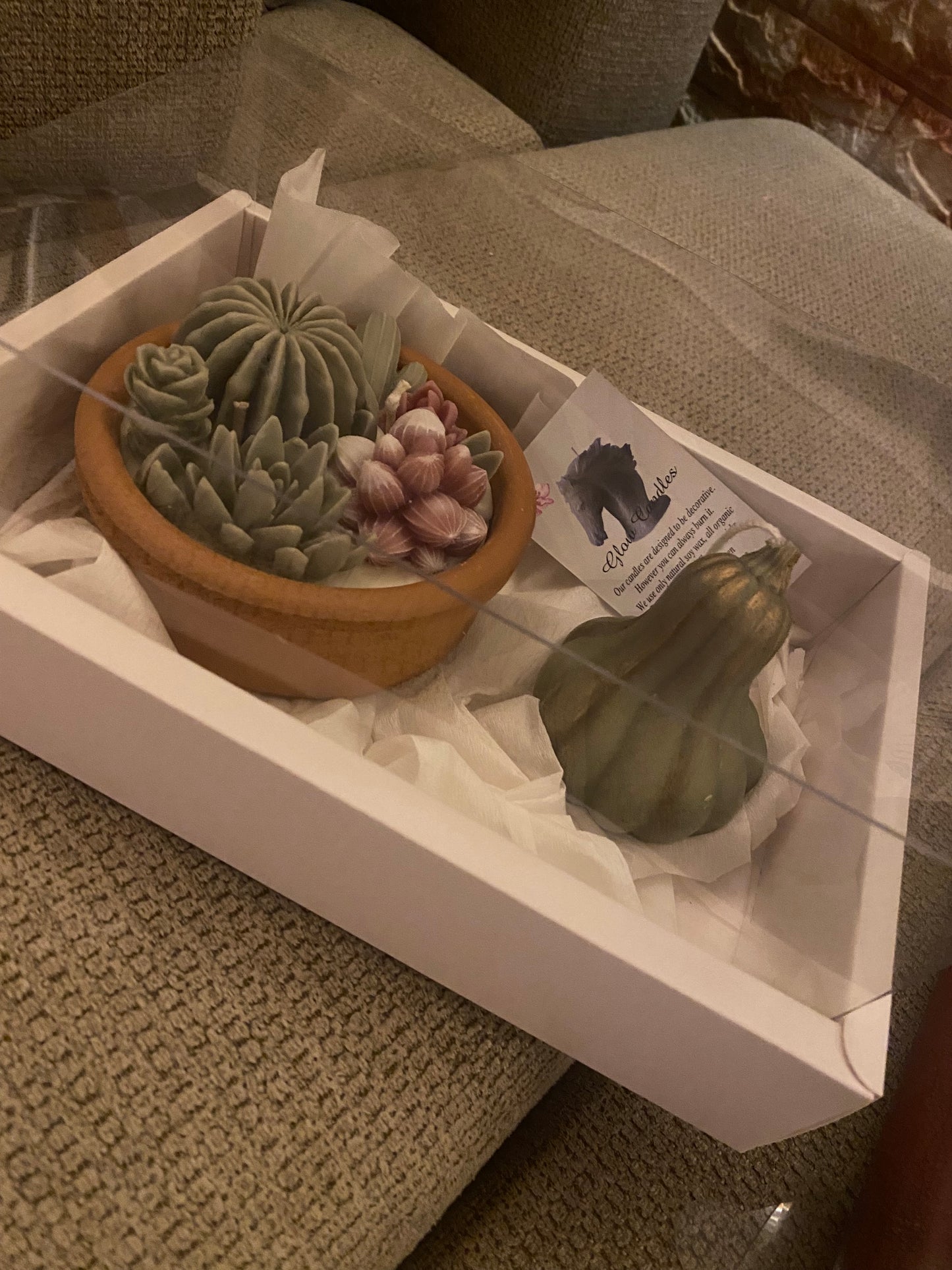 Cactus candle